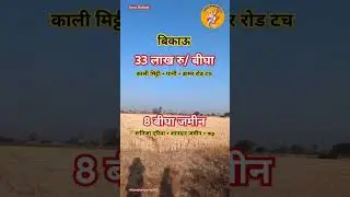 8 bigha agriculture land for sale in madhya pradesh ।। agriculture land sale।। property।। #short