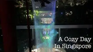 Vlog| Le Petit Chef birthday dinner&bull;using CDC Voucher at a restaurant&bull;plant shopping