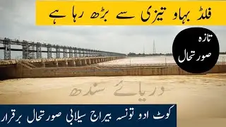 Taunsa Barrage Flood Water Level Today 440000 cusecs 20 August 2022 Kot Addu Indus River
