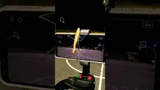 Why is this Praying Mantis crawling on the phone? 👀 #insects #clips