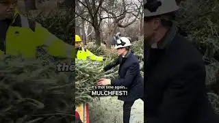 ♻️🌲 It&rsquo;s MulchFest: Christmas Tree Chipping Weekend! 🌲♻️