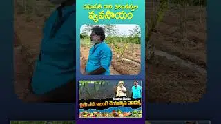 Five Layer Model రైతు ఎదగాలంటే చేయవలసిన మోడల్స్ | ఒకే చోట 5 పంటలు #farming #hindudeities #hindugods