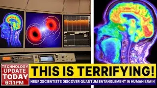 BREAKING: Quantum Entanglement Detected in Human Brain Waves By Neuroscientists