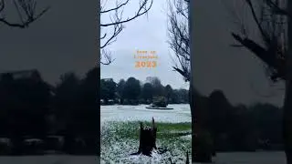 Snow in Liverpool 2023 #winterspecial #liverpool liverpool #kensington
