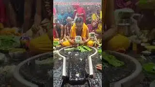 🌺🌿⚘️ बाबा वैद्यनाथ ज्योतिर्लिंग का प्रातःकालीन पूजन 🌺🌿⚘️ 1/7/2025 #bholanath #deoghar #babadham