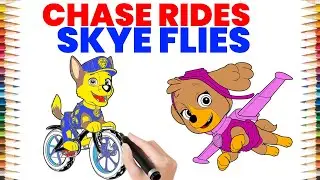 Let’s Go, Paw Patrol! 🚓 Skye Takes to the Sky, Chase Hits the Road!