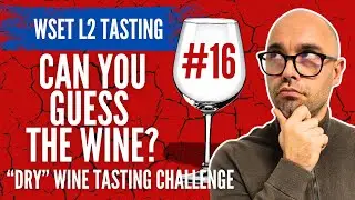 Can You Guess the Wine? | Using the WSET Level 2 SAT I Dry Wine Tasting Challenge #16  #wset