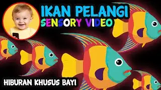 Tontonan EDUKASI BAYI 0 - 6 Bulan Agar Berhenti Menangis | Ikan Berenang Lucu dan Menggemaskan