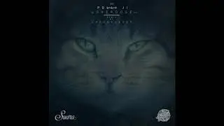 Polli Ji - Loverdose (Original Mix)