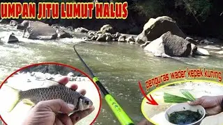 MANCING WADER KEPEK SIRIF KUNING UMPAN JITU LUMUT HALUS‼️