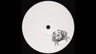 DJ Physical - Whales Orchestra