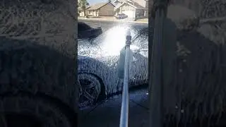 hallcat foam bath