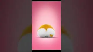 Tukoh Taka Dance Moco Dance #mocoandyummy #moco #yummy #faygomoco #pet #cartoon #dog #corgi #funny