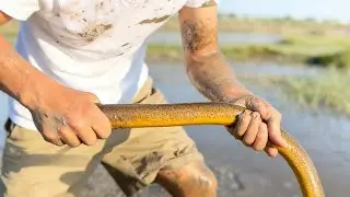 與蝦塘老闆合作共贏，心心相惜到底賺不賺#fishing #大熱門