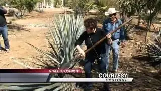 Street's Corner: Couple Takes Shot at Liquor Import Biz