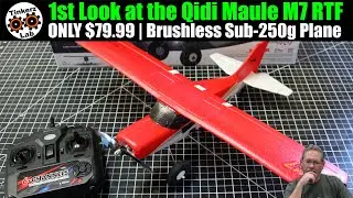 1st Look at this Brushless Sub-250g Bush Plane | ONLY $79.99 and it's a Ton of Fun ;-)