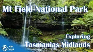 Convict Bridges, Historic Mills & Tasmania’s Most Beautiful Waterfall | Vet in a Van
