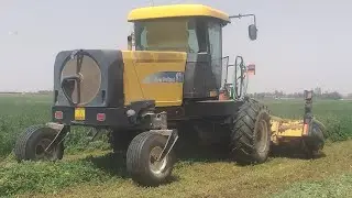 Barseem Cutting machine | बरसीम घास का कटाई @kumartravelvlogs369