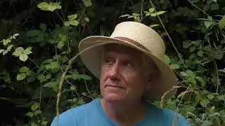 La poussière des chemins