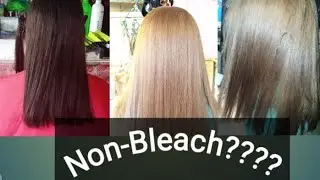 Smokey Silver Ash w/. Ash gray | Non-bleach