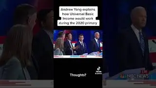Andrew Yang on Universal Basic Income
