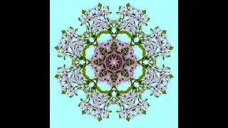 Mandala Slideshow