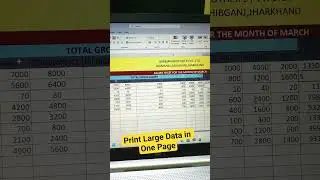 Print Large Data in Excel #excel #trending #viralvideo #exceltips #exceltips2025 #linesheets