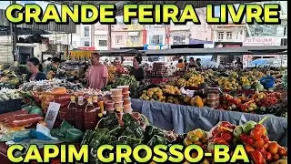 Grande feira livre em Capim Grosso Ba 