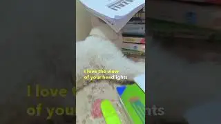 much pressure of studies 🫢 #cat #leocat #viralvideo #sleepcat #catlover #shorts #cute #sleepybaby