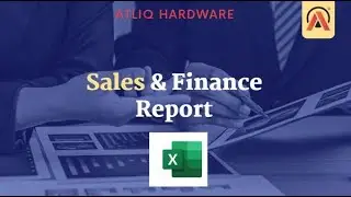Sales  & Finance Report   Excel Project