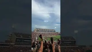 Mississippi State Cowbells