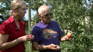 Local Orchards Predicting Good Apple Crop