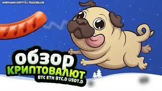 Биткойн летит на 50000$, когда начнется коррекция? Волновой анализ рынка криптовалют | TradeBlog