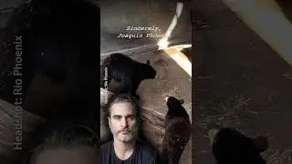Cruelty Joaquin Phoenix COULDN'T stay quiet about ✊
