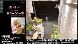 【Sat.01/10/2026 Livecamera at the florist】 スローダンス SLOWDANCE 等々力 尾山台 世田谷 Setagaya 東京 Tokyo 日本 Japan