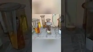 ZOOLOGY LAB TOUR 🐍🦋|| #ZoologyLab #LabTour #BiologyLab #trending #viral