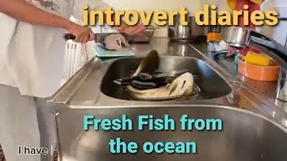 A day in a life | Introvert Diaries | Silent Vlog Ep 11 | Fresh fish for dinner | Household chores
