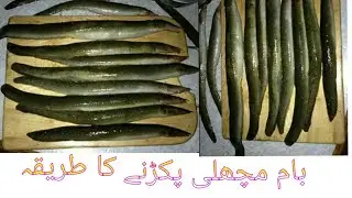 Bam Fishing attock Pakistan date update||Waseem from Peshawar 🎣 king 2020
