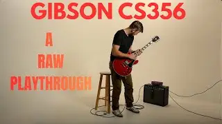 RAW.. Gibson ES356 | Cranked Princeton Reverb.. DISGUSTING TONES