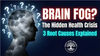 Brain Fog? The Hidden Health Crisis: 3 Root Causes Explained