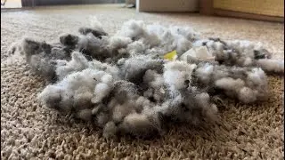 2 Fluffy Natural Bin Dumps, 2 vacs