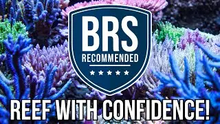 Reef Tank Gear You Can TRUST | BRS Recommended