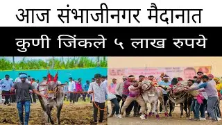 आज संभाजीनगर येथे झालेल्या मैदानात कंदूर चा राजा आणि चिमण्या एक नंबरचे मानकरी झाले