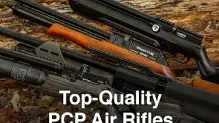 ამერიკული ფასები pcp თოფებზე pyramyd air