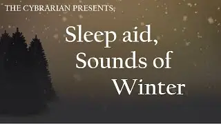 Relaxing ambient sounds of nature &ndash; winter sleep aid #ASMR #winter #snow
