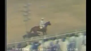 سباق الخيول المنصور(21)