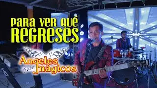 ANGELES MAGICOS PARA VER QUE REGRESES 4K