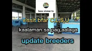 vissit bfar clsu