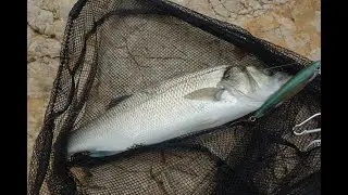 Single Hook - Balıksız Bir Tatil? Hayır..../Holiday Without Fishing? Nope...