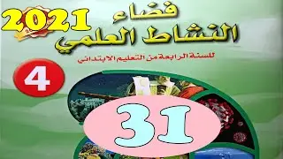 فضاء النشاط العلمي المستوى الرابع ص31